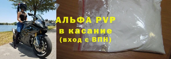 СК Вязьма