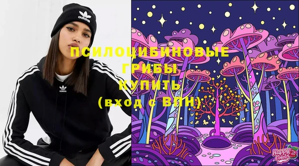 ГАЛЛЮЦИНОГЕННЫЕ ГРИБЫ Горно-Алтайск